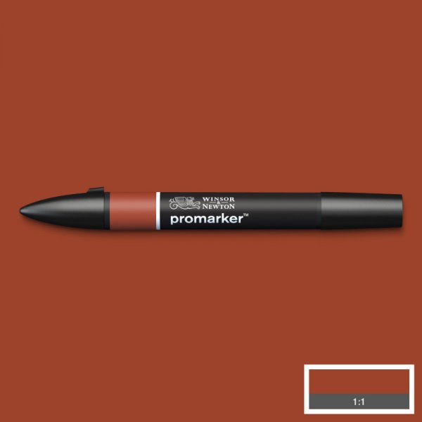 Marqueurs Pro - Winsor & Newton - Cedar Brown