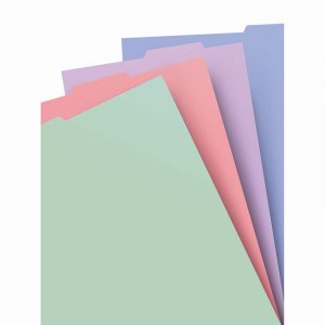 Index amovibles pour carnet Filofax - A4 Index amovibles pour carnet Filofax - A4