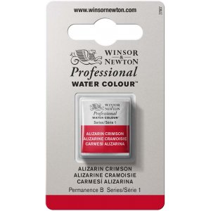 Peinture aquarelle W&N Professional Demi-tasse Peinture aquarelle W&N Professional Demi-tasse