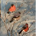 Image client Peinture aquarelle W&N Cotman - Pochette 16 Couleurs