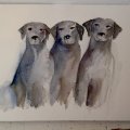 Image client Bloc aquarelle Rough Grove Arches 300g - 23x31 cm