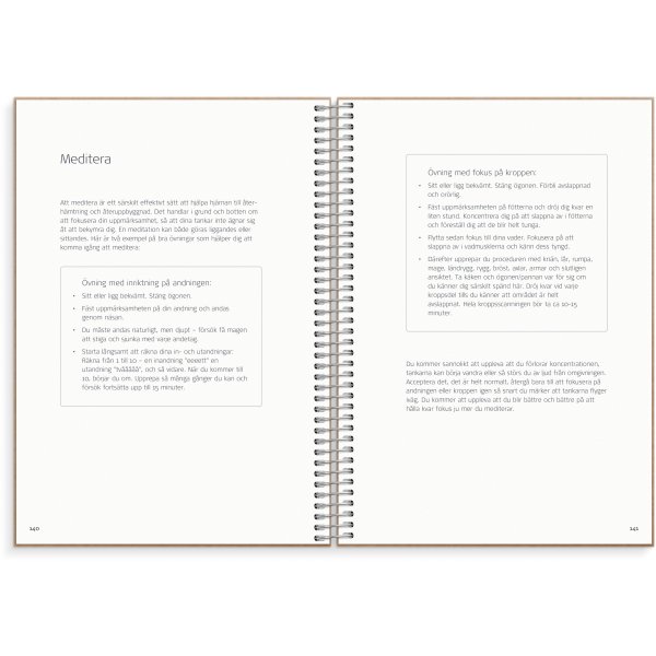 Journal de solde Journal de solde