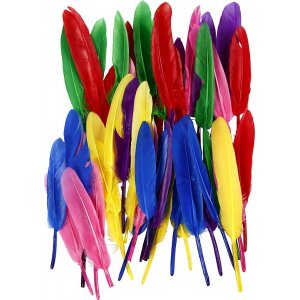 Plumes - couleurs mélangées - 48 pcs Plumes - couleurs mélangées - 48 pcs