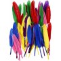 Plumes - couleurs mélangées - 48 pcs