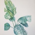 Image client Bloc aquarelle Sense 200g - A4