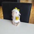Image client