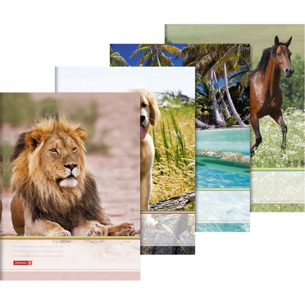Dossier - A3 - animaux