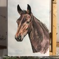 Image client Peinture aquarelle W&N Cotman Demi-tasse - 554 Terre d'Ombre Brute