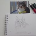 Image client