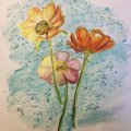Image client Bloc aquarelle Sense 160g - A4