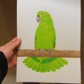 Image client Bloc Aquarelle Collé Pressé à Froid Arches 300g - A4