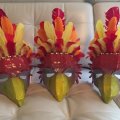 Image client Plumes indiennes 12 - 15 cm - plusieurs couleurs mélangées paquet de 20