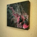 Image client M�dium acrylique Sennelier 200 Ml - Gesso Universel