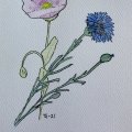 Image client Bloc aquarelle aquarelle 180 x 240 mm
