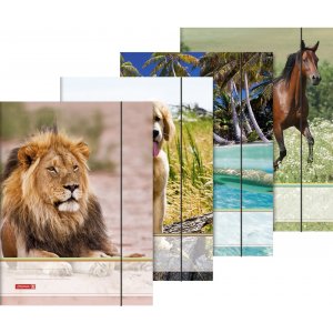 Dossier avec élastique - A3 animaux Dossier avec élastique - A3 animaux