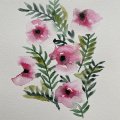 Image client Peinture aquarelle W&N Professional Demi-tasse - 502 Rose permanente