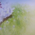 Image client Médium aquarelle Gomme à dessin Sennelier - pipette 0,5 mm 37,5 ml