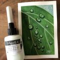 Image client Médium aquarelle Gomme à dessin Sennelier - pipette 0,5 mm 37,5 ml