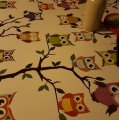 Image client Hiboux en tissu ciré