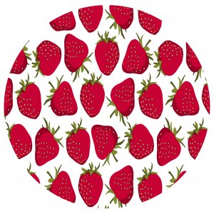 Bâche PVC Ronde Fraise - Blanc Bâche PVC Ronde Fraise - Blanc