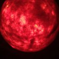 Image client Pure laine vierge 30 g - rouge