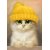 DiamondArt 19x27 cm - Chaton mignon DiamondArt 19x27 cm - Chaton mignon