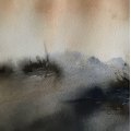 Image client Peinture aquarelle W&N Cotman Tube 21ml - 090 Cadmium orange Hue