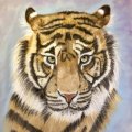 Image client Crayons pastel PITT - 60 Crayons