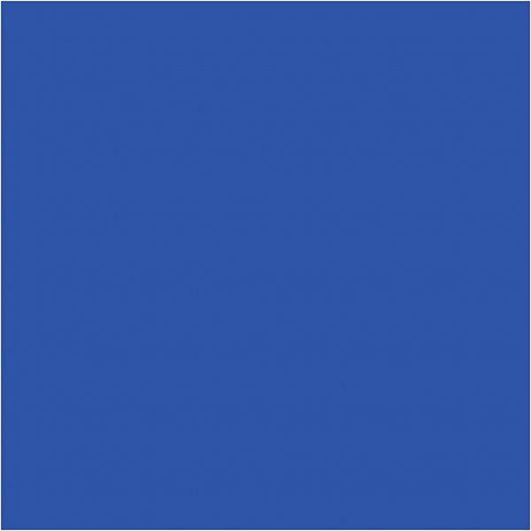 Peinture textile textile solide - bleu brillant - couvrante - 50 ml Peinture textile textile solide - bleu brillant - couvrante - 50 ml