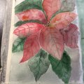 Image client Bloc Aquarelle Coll� Rough Grove Arches 300g - A4