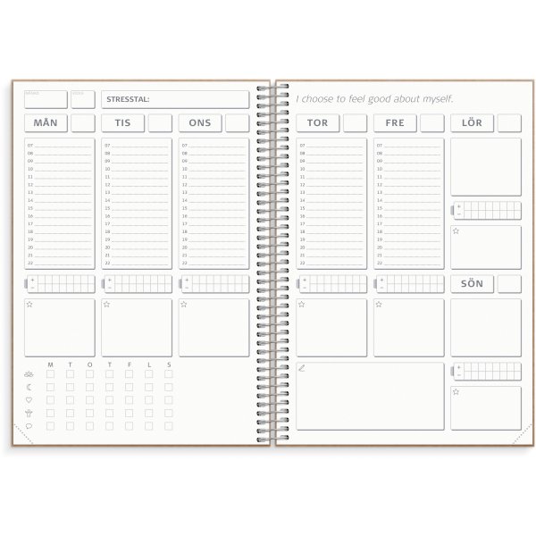 Journal de solde Journal de solde