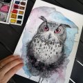 Image client Peinture aquarelle W&N Cotman - Coffret Sketcher's 12 couleurs
