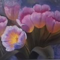 Image client Peinture à l'huile W&N Winton 37ml - 502 Rose permanente