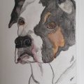 Image client Bloc aquarelle RH - A3, 297 x 420 mm