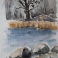 Image client Rembrandt Aquarelle 5 ml - Jaune/Orange-2-Jaune