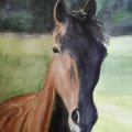Image client Peinture aquarelle Sennelier 10Ml - Vert Sève (819)