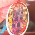 Image client Efcolor - incolore transparent 25 ml
