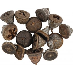Cônes d'eucalyptus - 25 g Cônes d'eucalyptus - 25 g