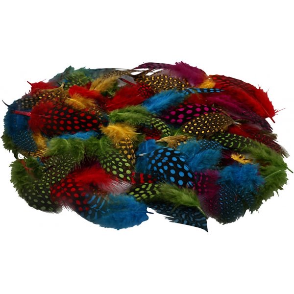 Plumes de pintade - couleurs mlanges - 3 g