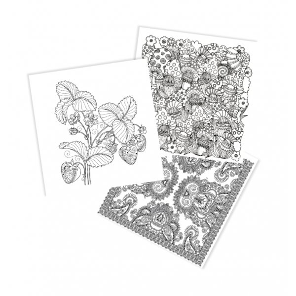 Livre de coloriage Artist Sense - 50 feuilles