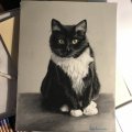 Image client Bloc pastel Tiziano