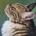 Image client Crayon pastel PITT - 101 Blanc Doux