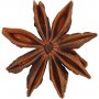 Anis toil - 10 pcs