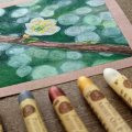 Image client Pastel à l'huile Sennelier 5 ml - Perle Dorée (132)
