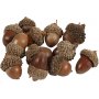 Glands - 12 pcs