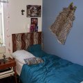 Image client Fourrure animale en velours - Gu�pard