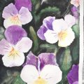 Image client Bloc aquarelle Sense 200g - A4