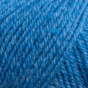 Junior Raggi 50g - Bleuet Junior Raggi 50g - Bleuet