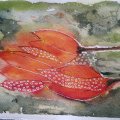 Image client Bloc Aquarelle Coll� Rough Grove Arches 300g - A4