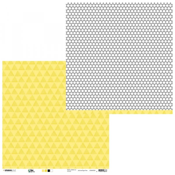 Papier design double face Creator joy 30,5x30,5 cm
